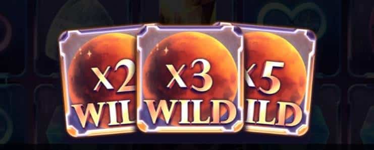 สัญลักษณ์ WILD