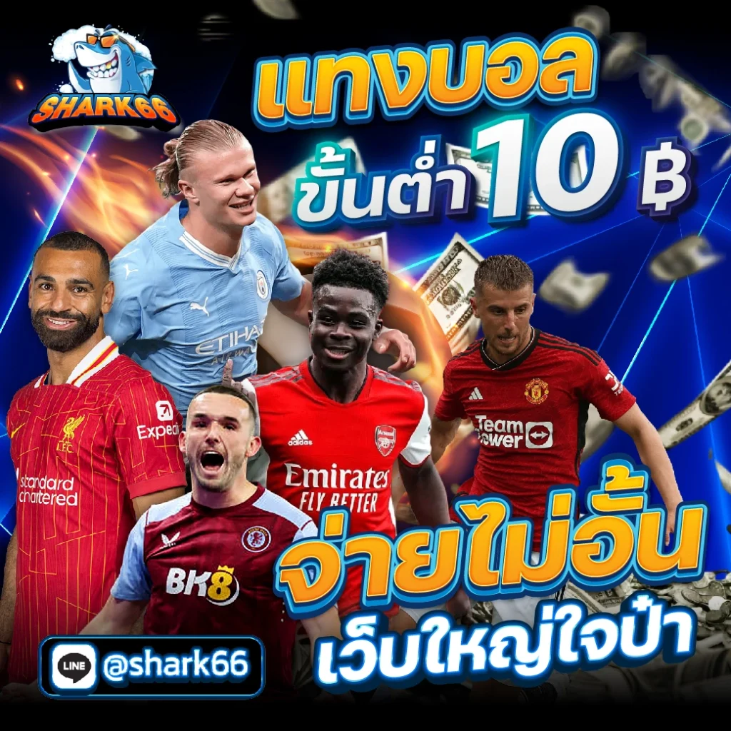 แทงบอล
